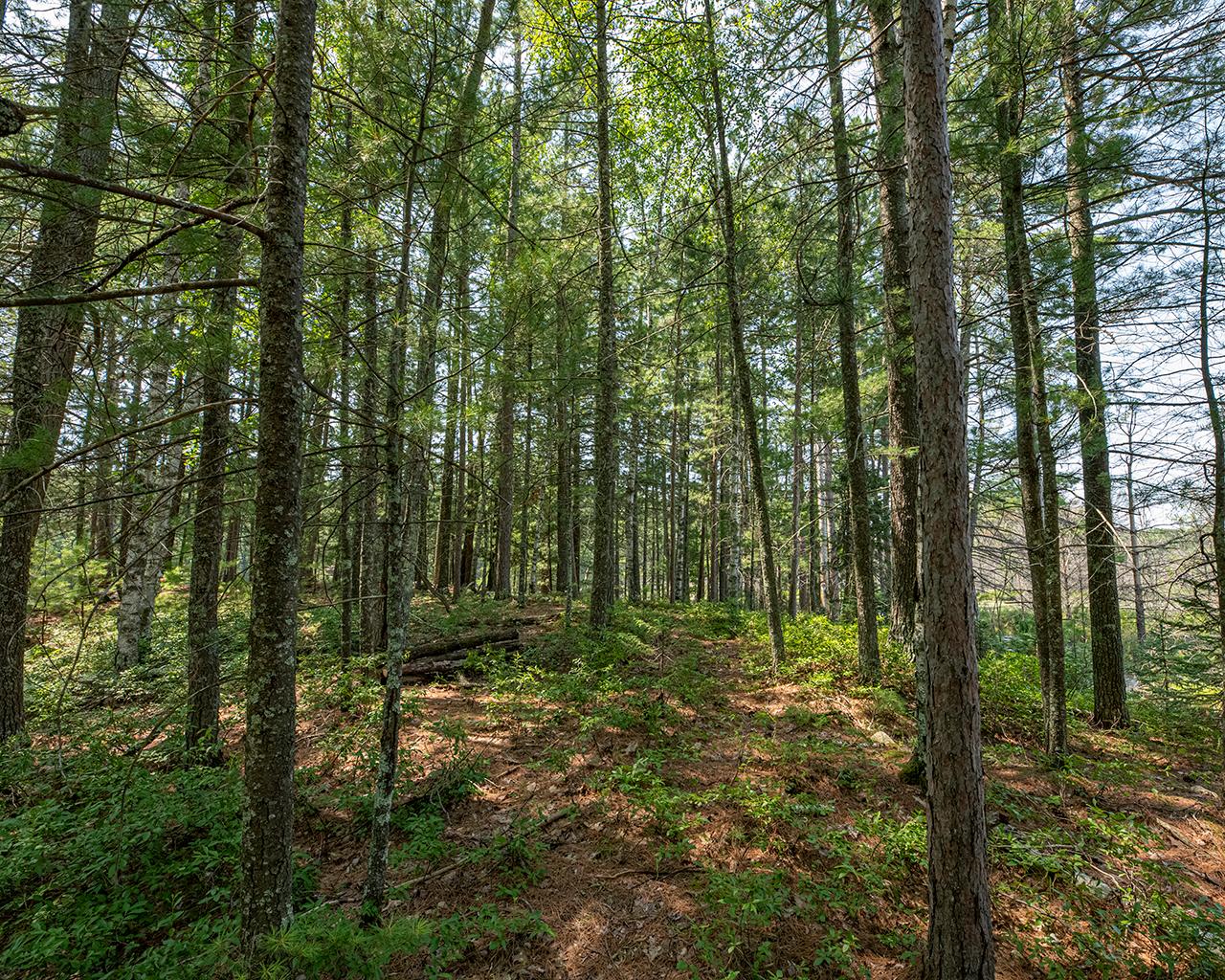 Long Lake (N) Property 6805 Long Lake Dr Photo 21