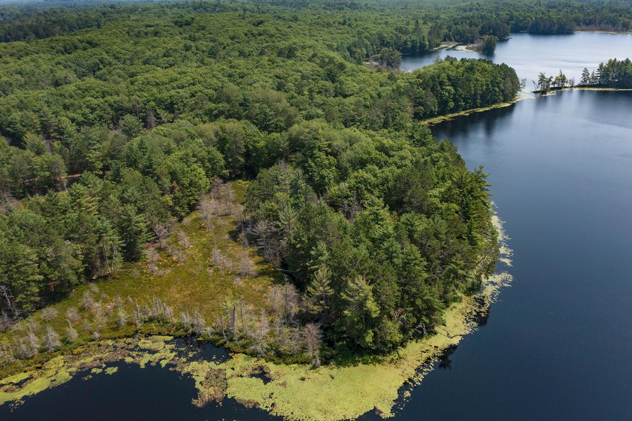 Long Lake (N) Property 6805 Long Lake Dr Photo 22