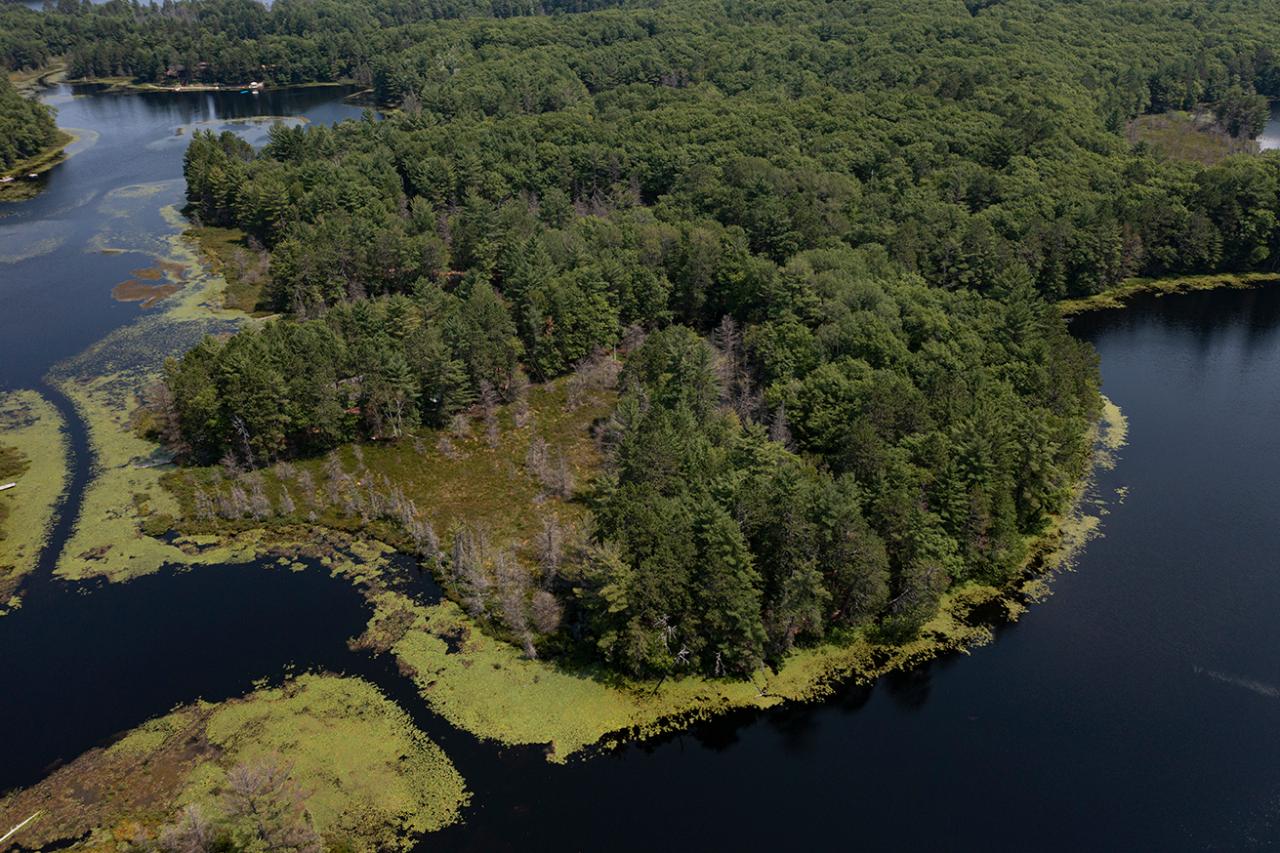 Long Lake (N) Property 6805 Long Lake Dr Photo 23