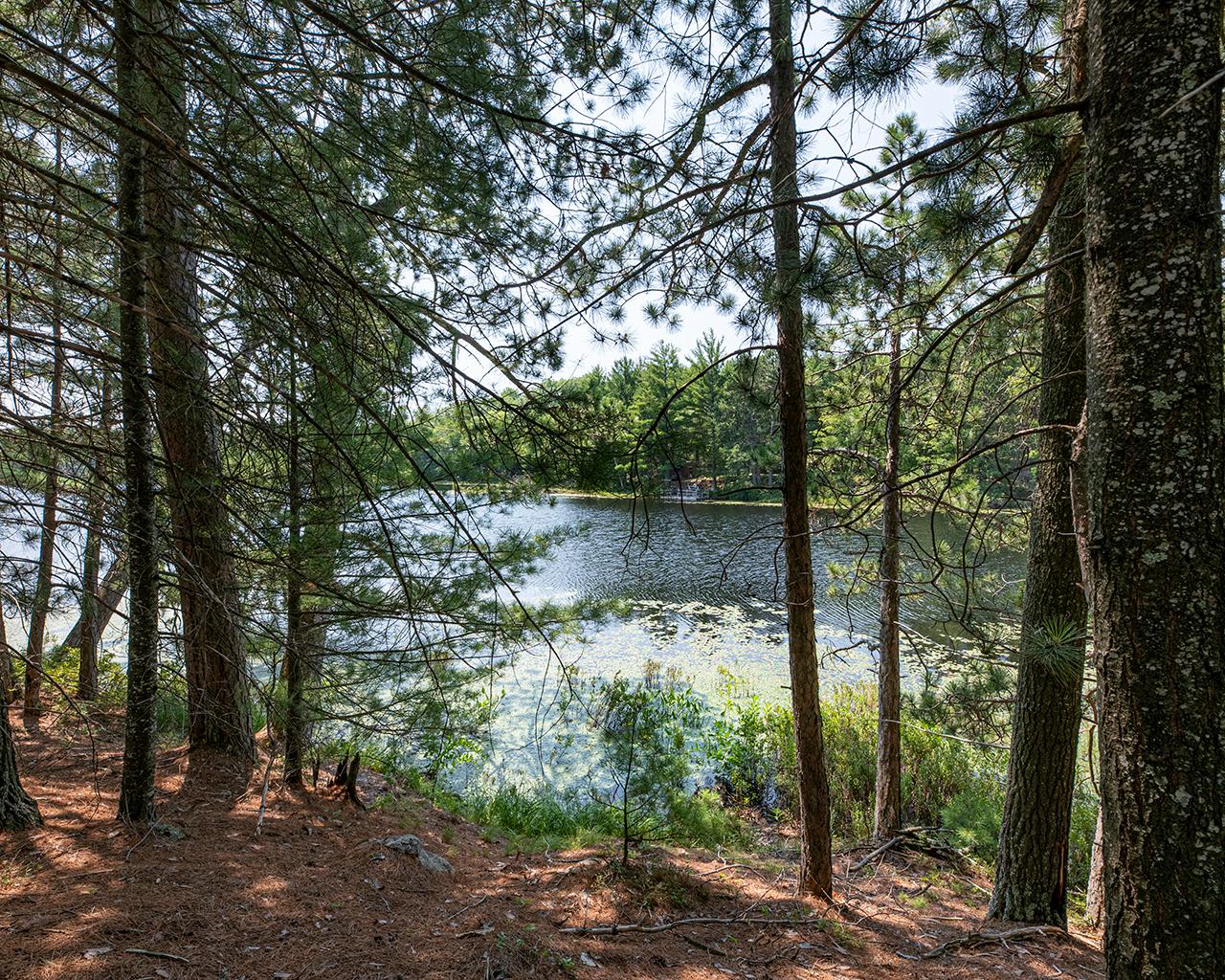 Long Lake (N) Property 6805 Long Lake Dr Photo 4