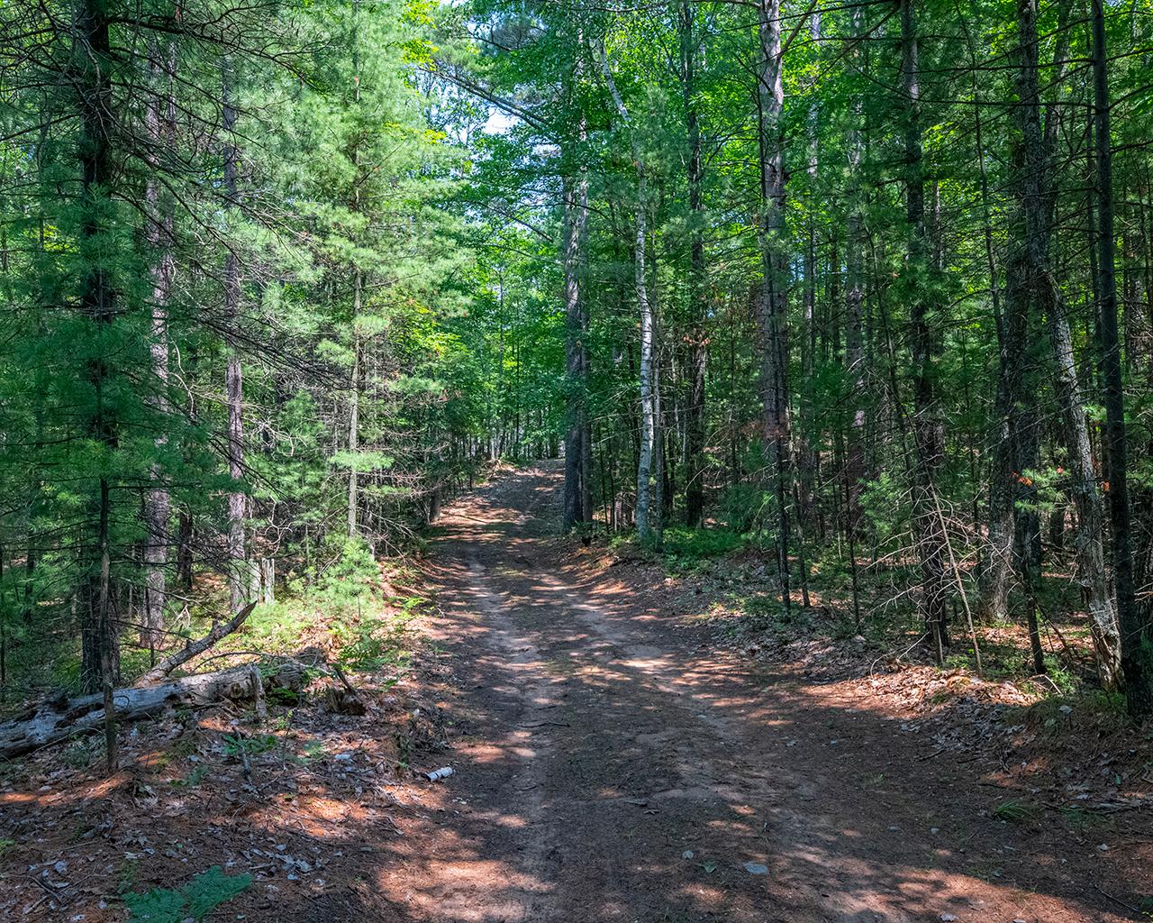 Long Lake (N) Property 6805 Long Lake Dr Photo 5