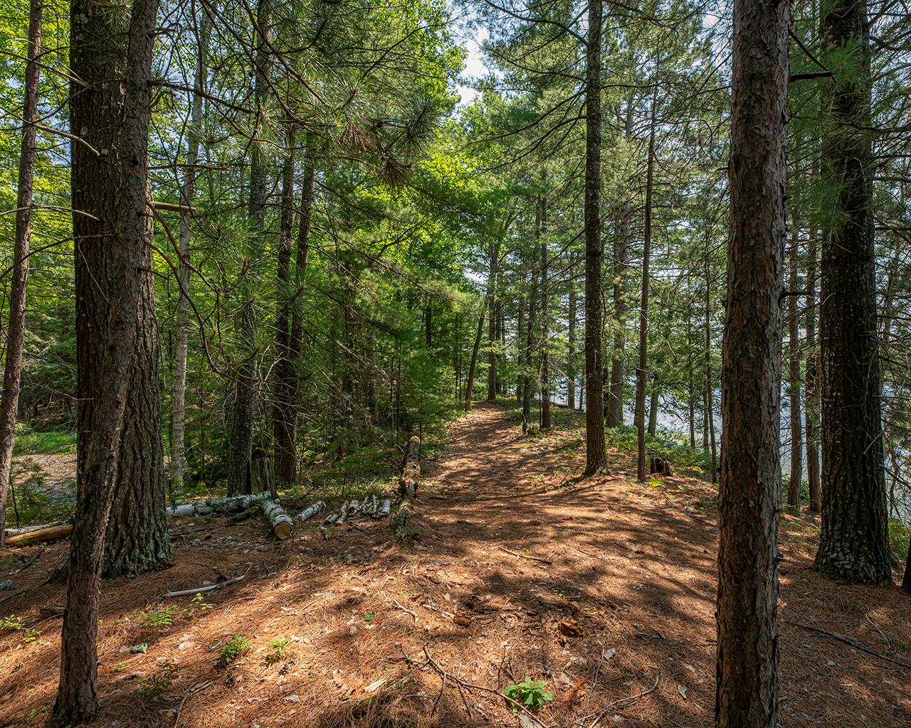 Long Lake (N) Property 6805 Long Lake Dr Photo 6