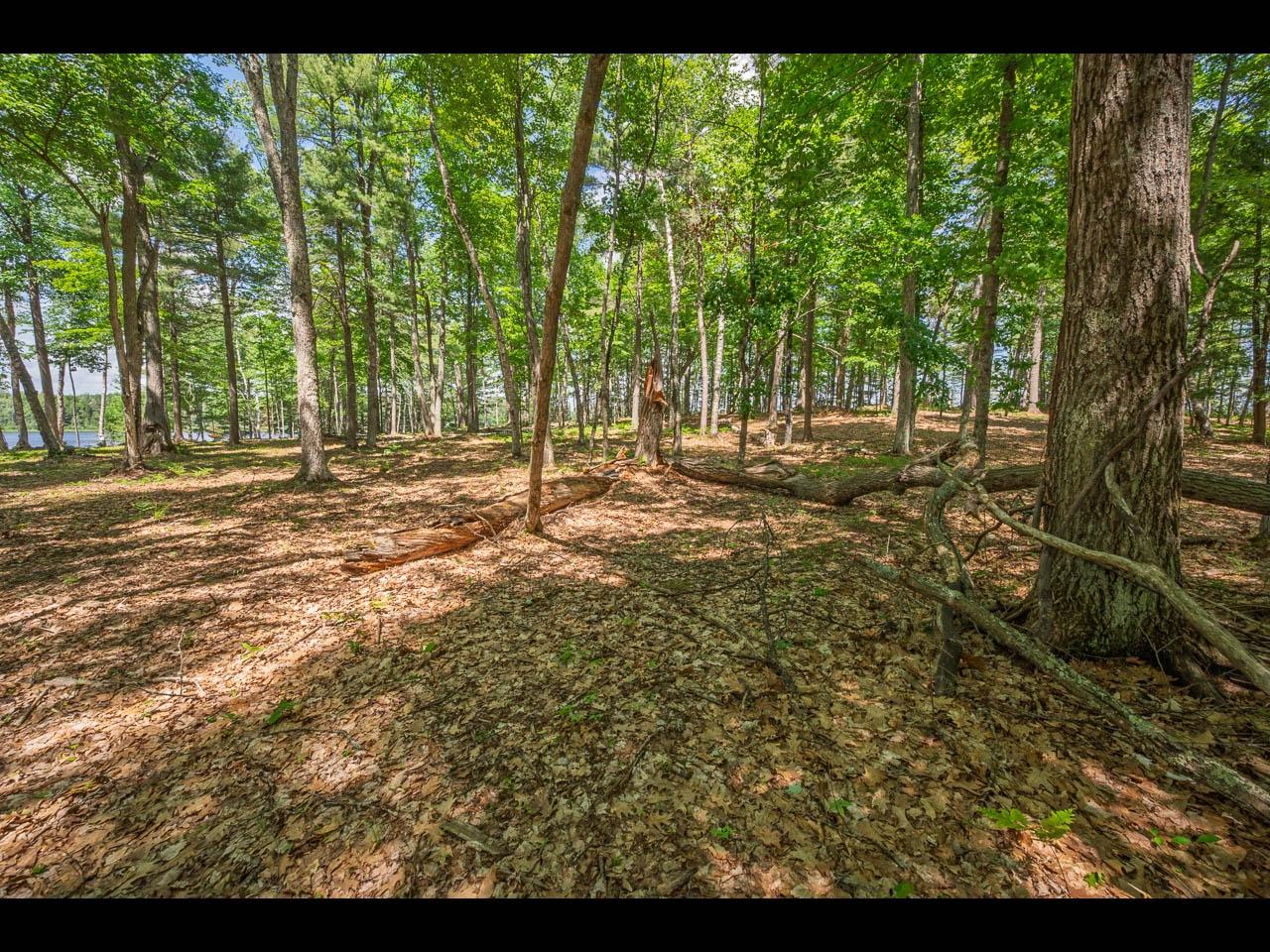 Clearwater Lake Property 157-159 Clearwater Lake Tr Photo 11