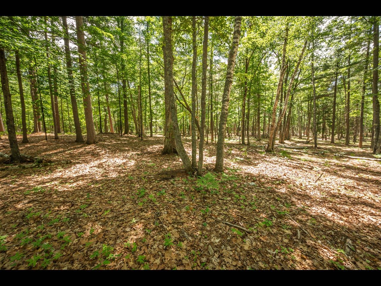 Clearwater Lake Property 157-159 Clearwater Lake Tr Photo 14