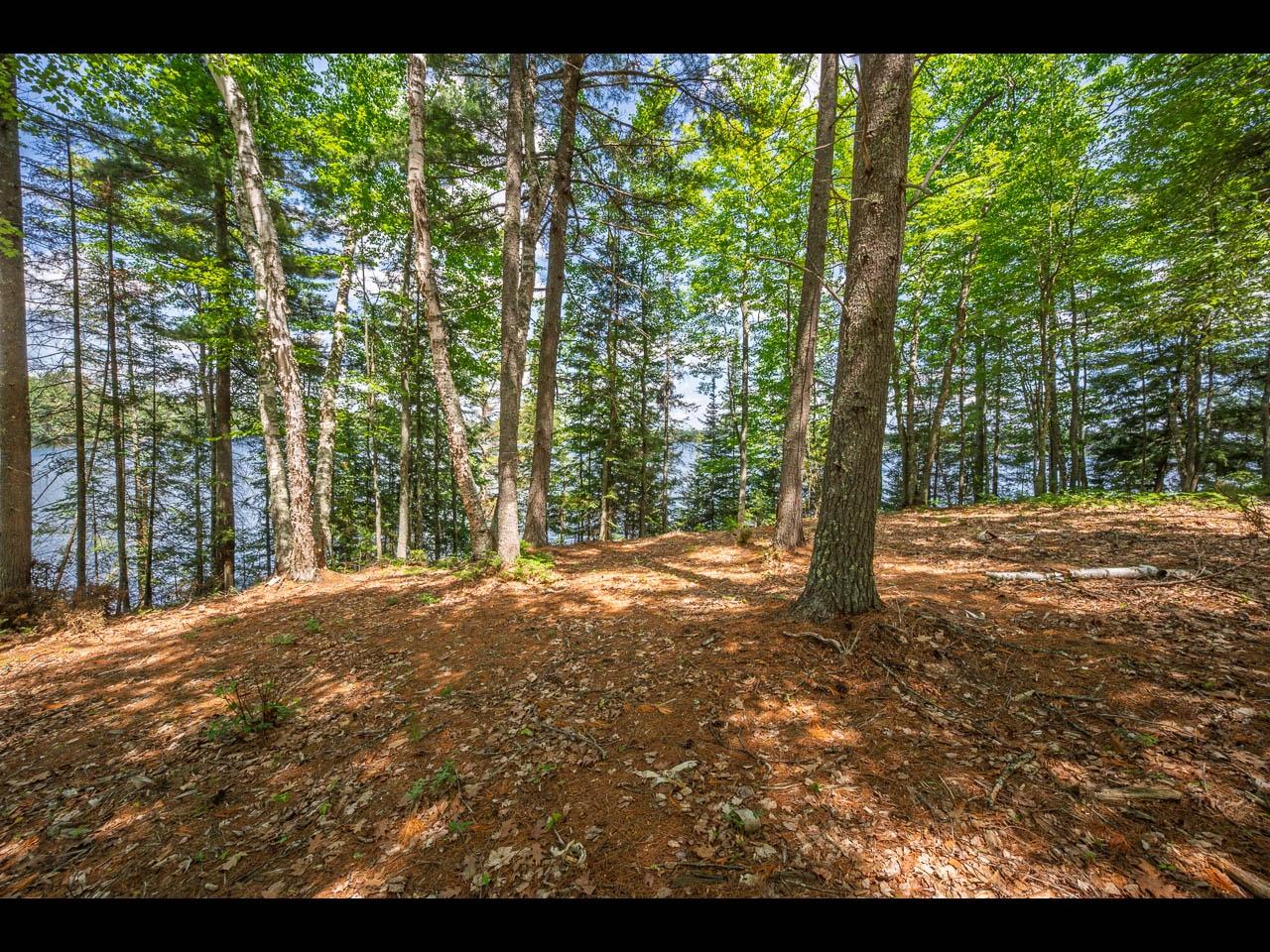 Clearwater Lake Property 157-159 Clearwater Lake Tr Photo 16