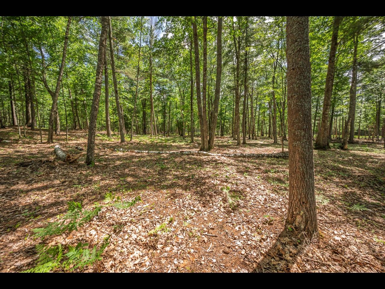 Clearwater Lake Property 157-159 Clearwater Lake Tr Photo 27