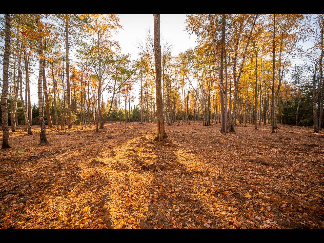 Clearwater Lake Property 157-159 Clearwater Lake Tr Photo 34