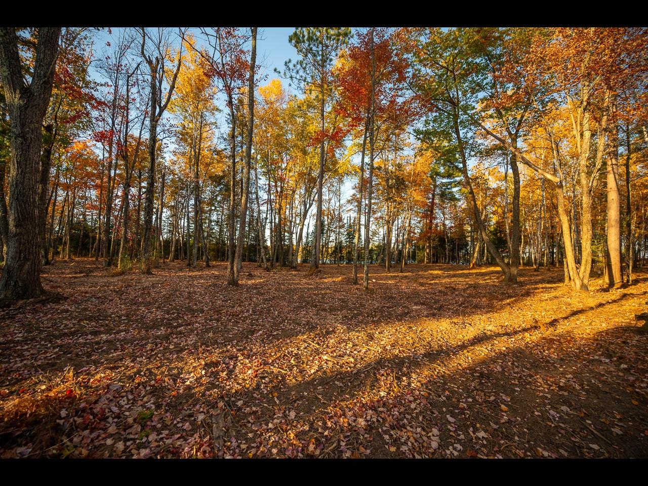 Clearwater Lake Property 157-159 Clearwater Lake Tr Photo 35