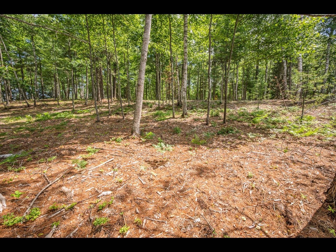 Clearwater Lake Property 157-159 Clearwater Lake Tr Photo 46