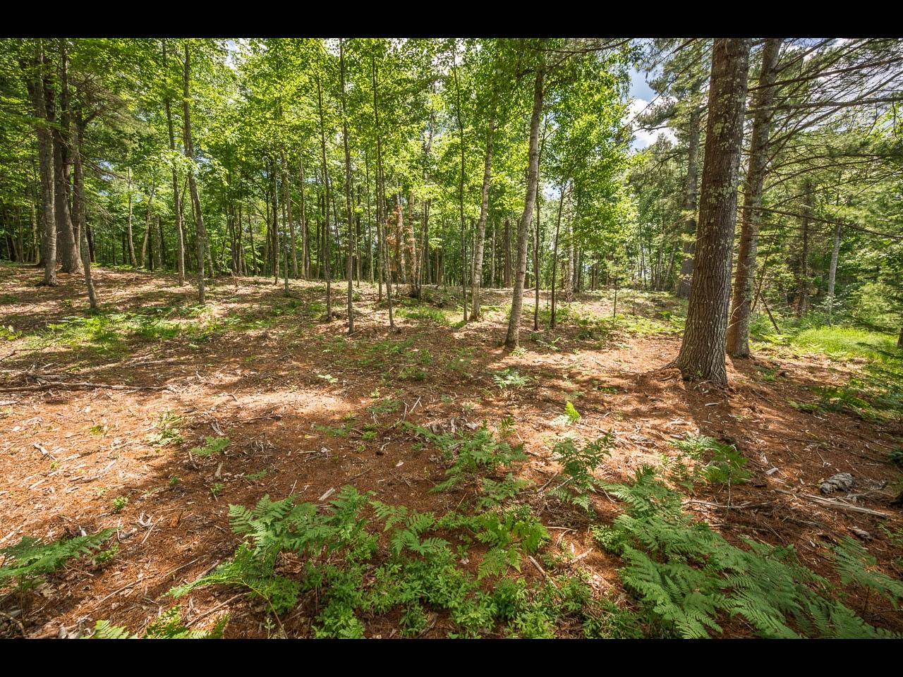 Clearwater Lake Property 157-159 Clearwater Lake Tr Photo 48