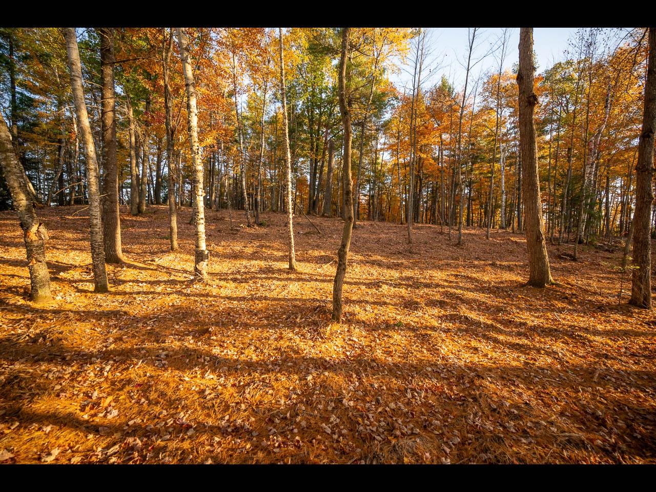 Clearwater Lake Property 157-159 Clearwater Lake Tr Photo 5