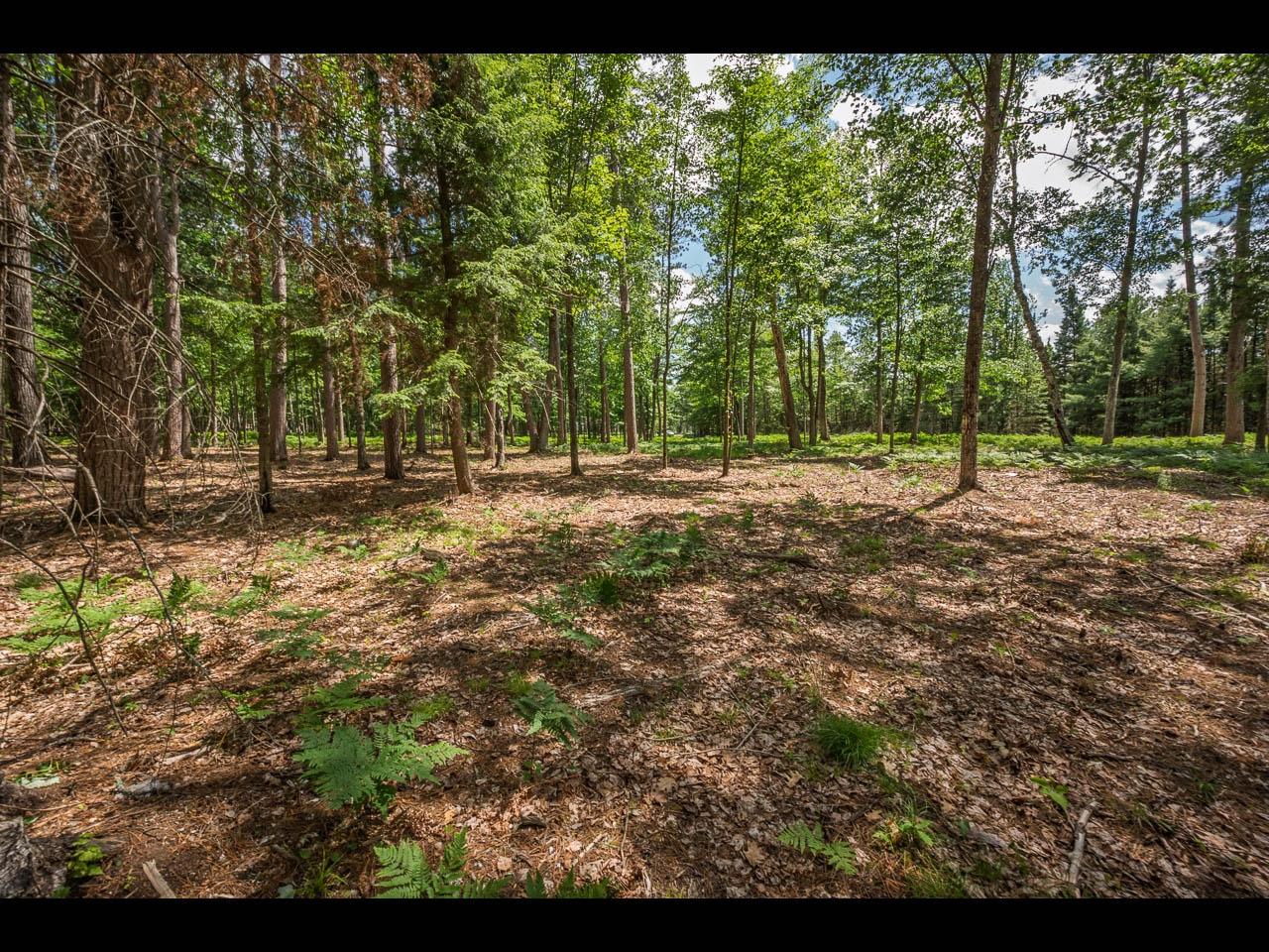 Clearwater Lake Property 157-159 Clearwater Lake Tr Photo 54