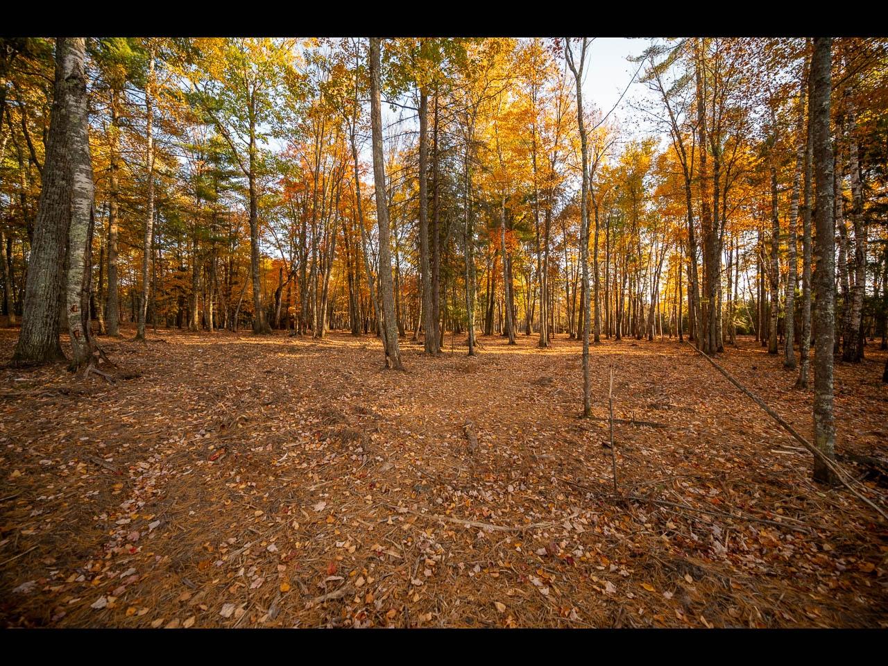 Clearwater Lake Property 157-159 Clearwater Lake Tr Photo 6