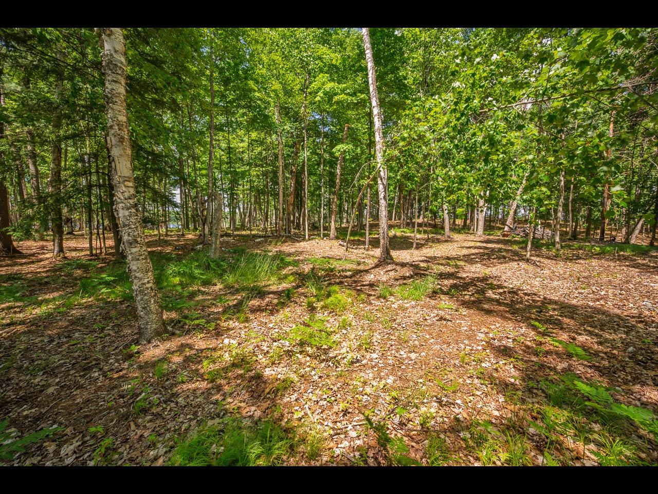 Clearwater Lake Property 157-159 Clearwater Lake Tr Photo 7