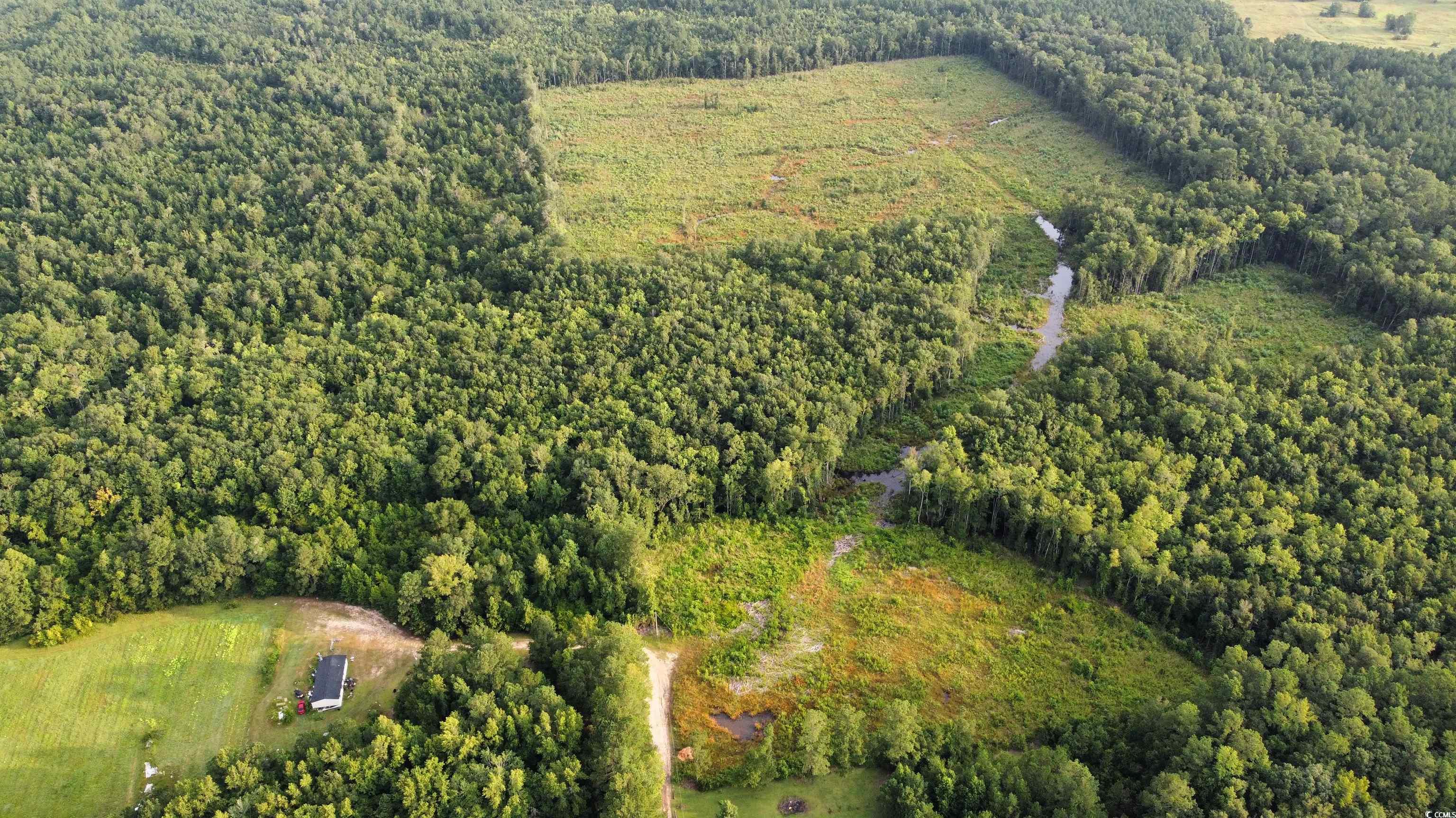 TBD Oak Log Lake Rd. Conway, SC 29526