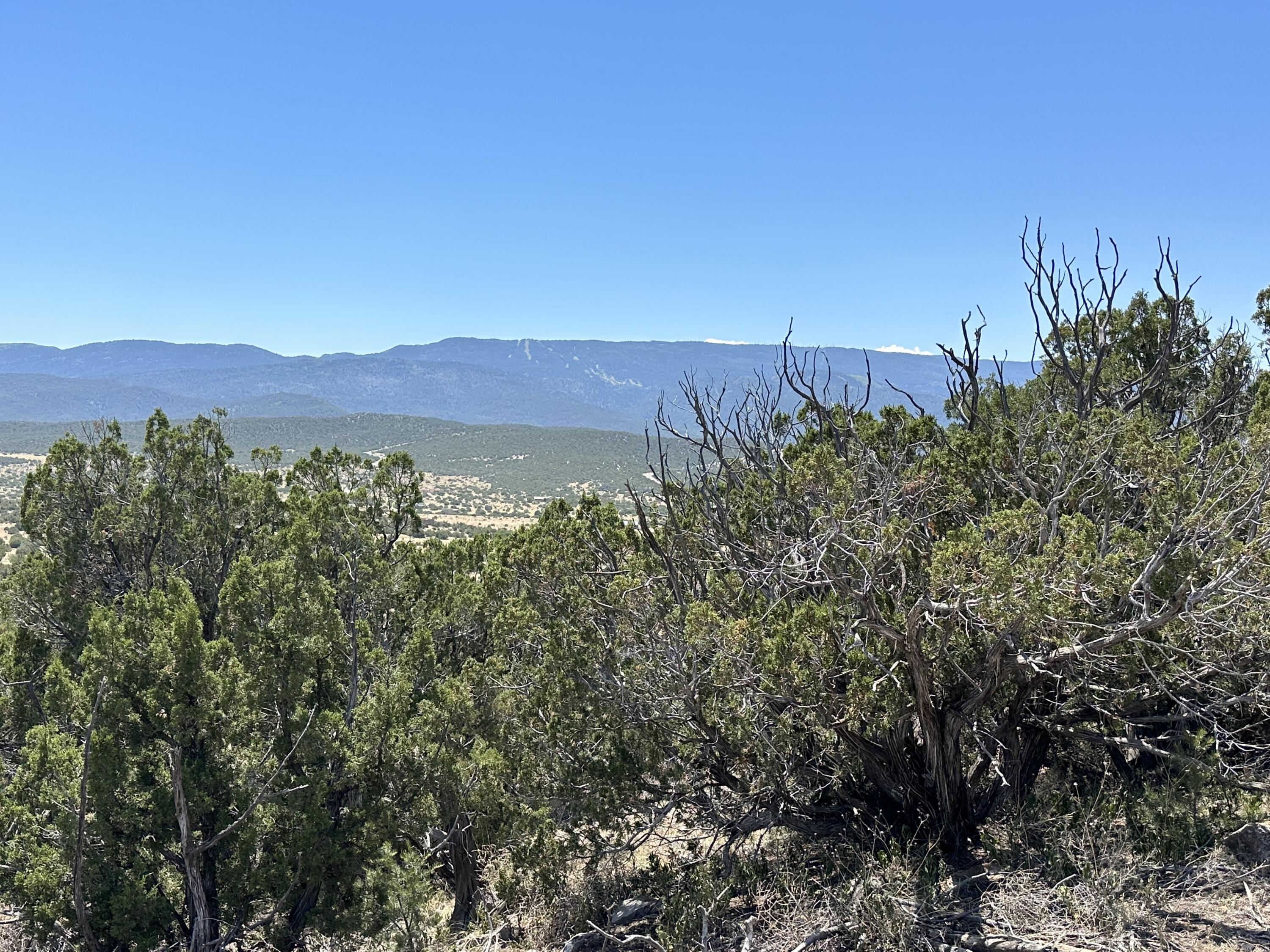 Homes for sale in Sandia Park, NM | 24 La Cantera, Sandia Park, NM 87047 | MLS# 1038884