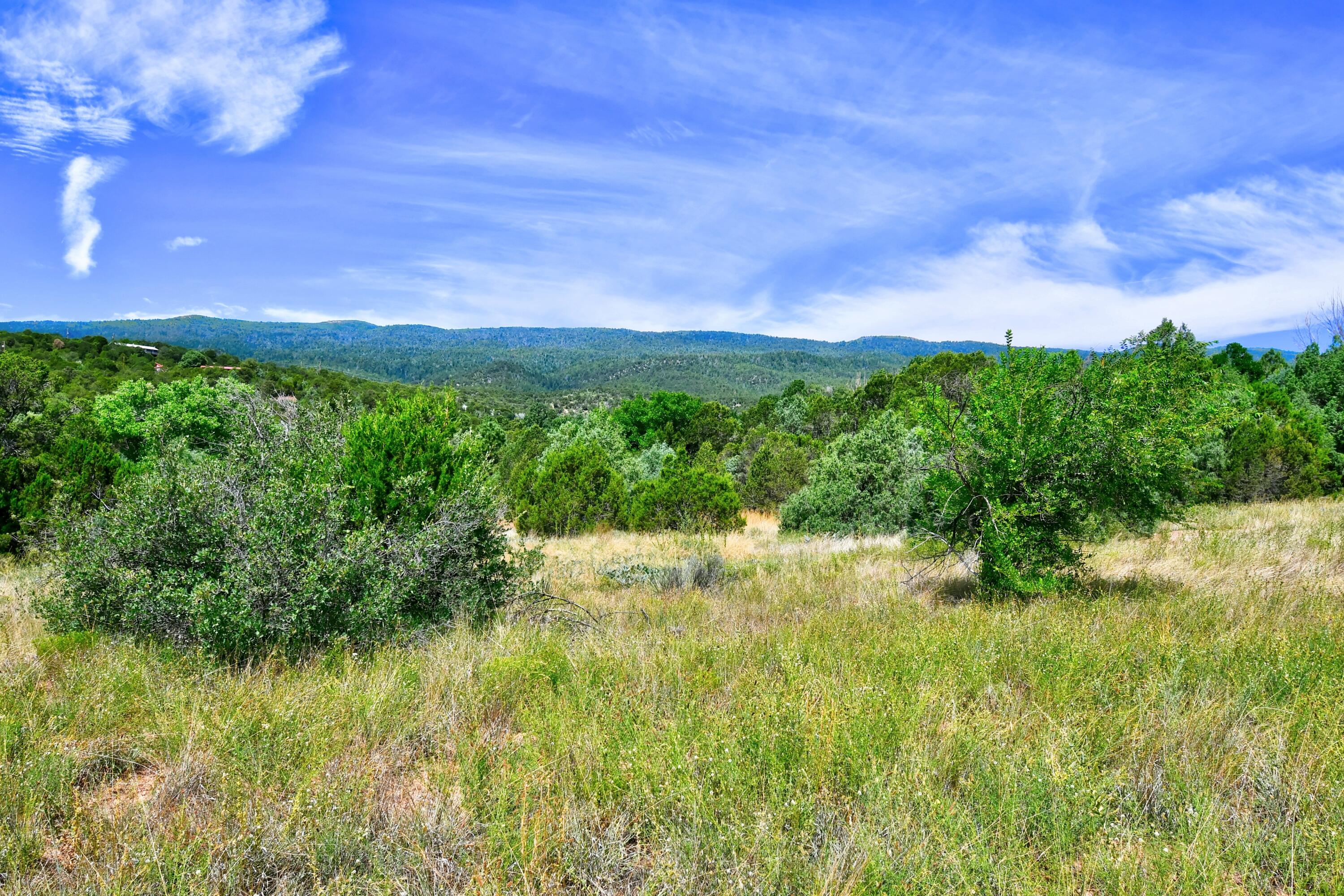 Homes for sale in Cedar Crest, NM | 12141 Nm State 14, Cedar Crest, NM 87008 | MLS# 1039653