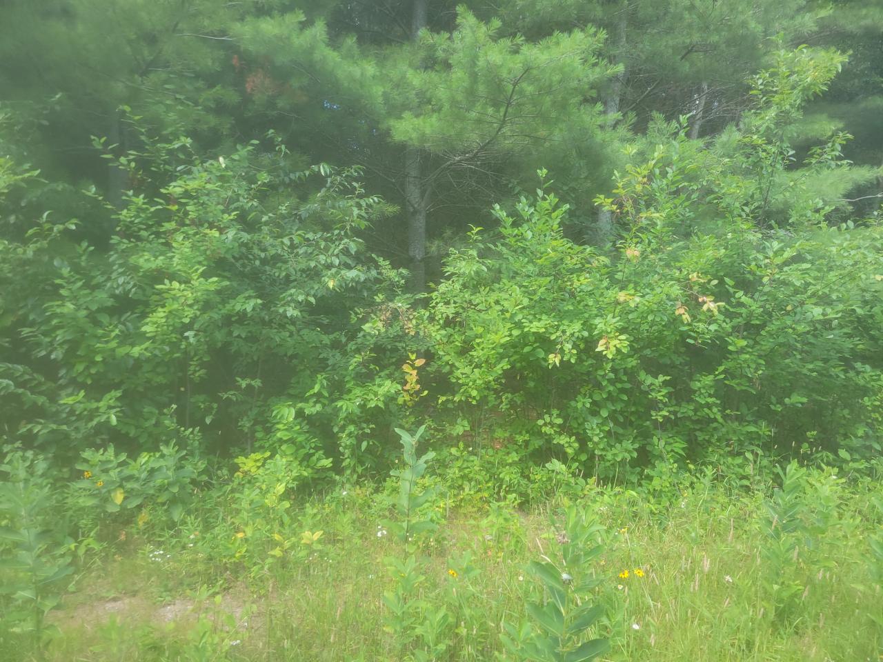 Spirit Lake (ER) Property 26-161 Spirit Lake Ln Photo 1