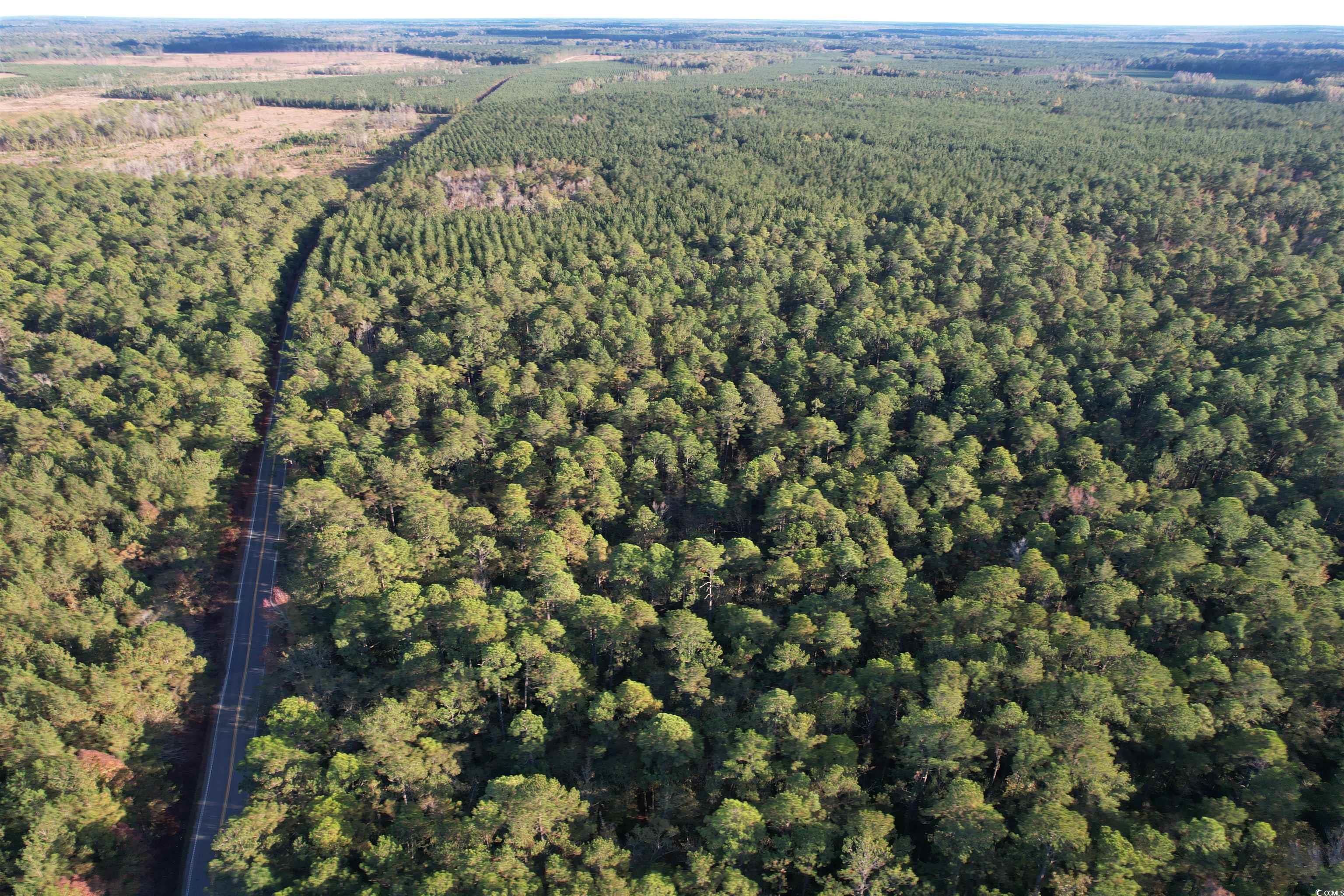 Homes for sale in Hemingway, SC | Tbd Roper Woods Rd, Hemingway, SC 29554 | MLS# 2317370