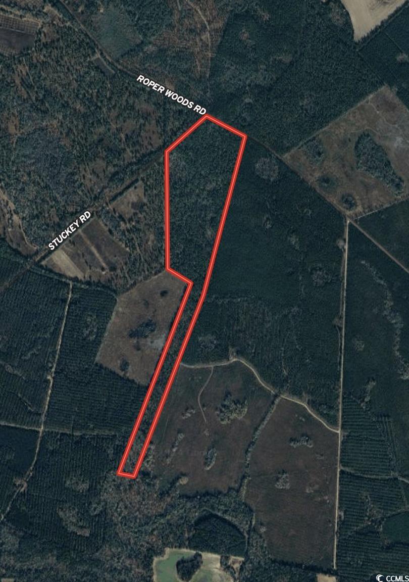 Homes for sale in Hemingway, SC | Tbd Roper Woods Rd, Hemingway, SC 29554 | MLS# 2317370