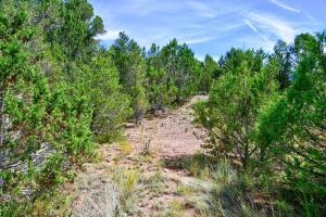 Homes for sale in Cedar Crest, NM | 12141 North Hwy 14, Cedar Crest, NM 87008 | MLS# 1040996