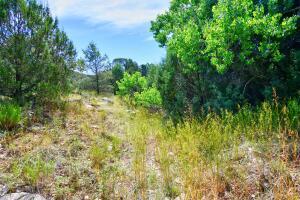 Homes for sale in Cedar Crest, NM | 12141 North Hwy 14, Cedar Crest, NM 87008 | MLS# 1040996