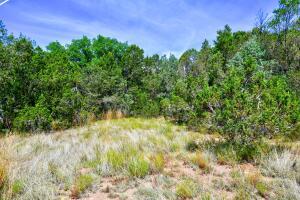 Homes for sale in Cedar Crest, NM | 12141 Nm-14, Cedar Crest, NM 87008 | MLS# 1040997