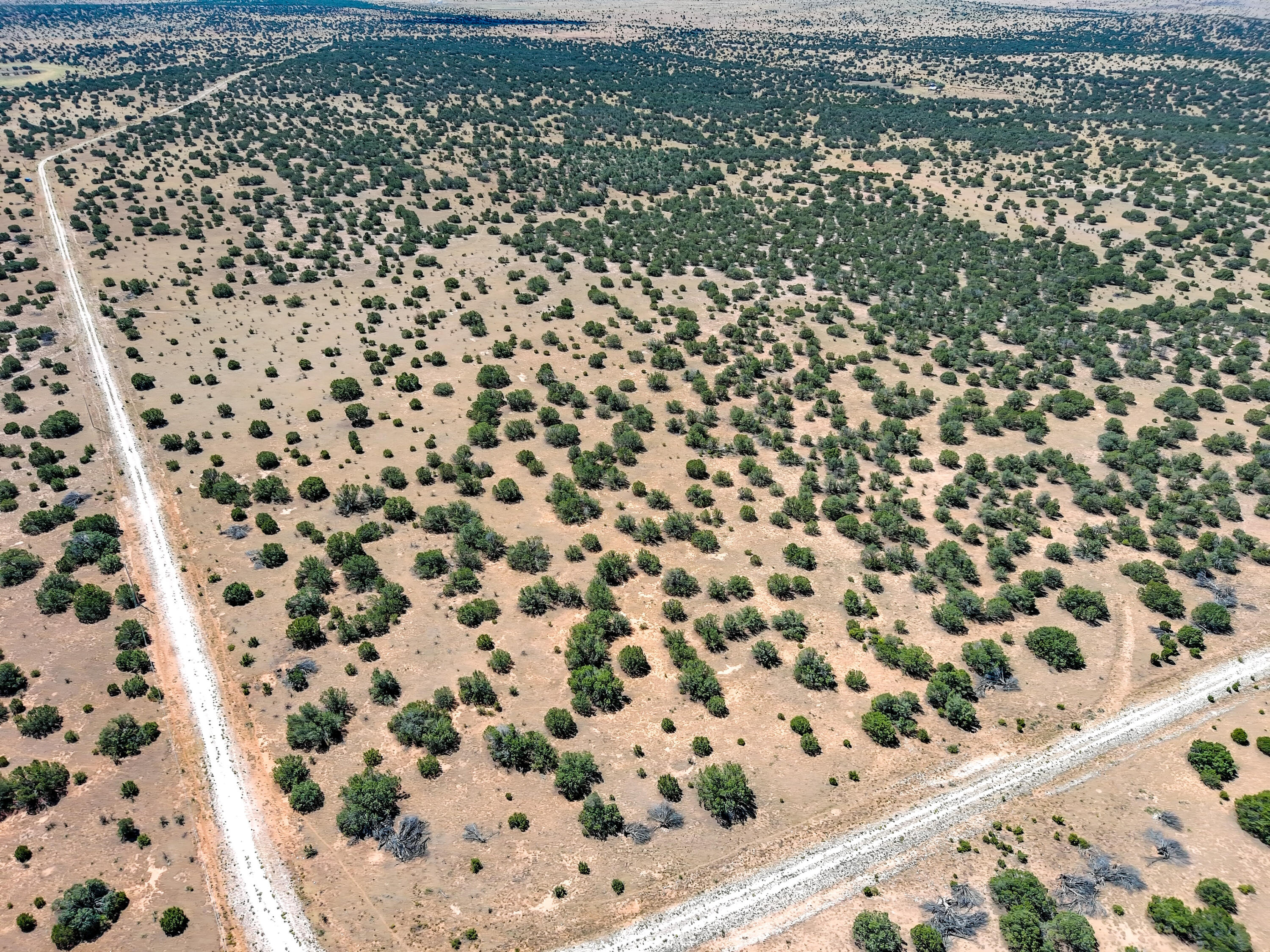 Homes for sale in Santa Rosa, NM | Portrillo Creek Ranch Lot 29, Santa Rosa, NM 88435 | MLS# 1041038