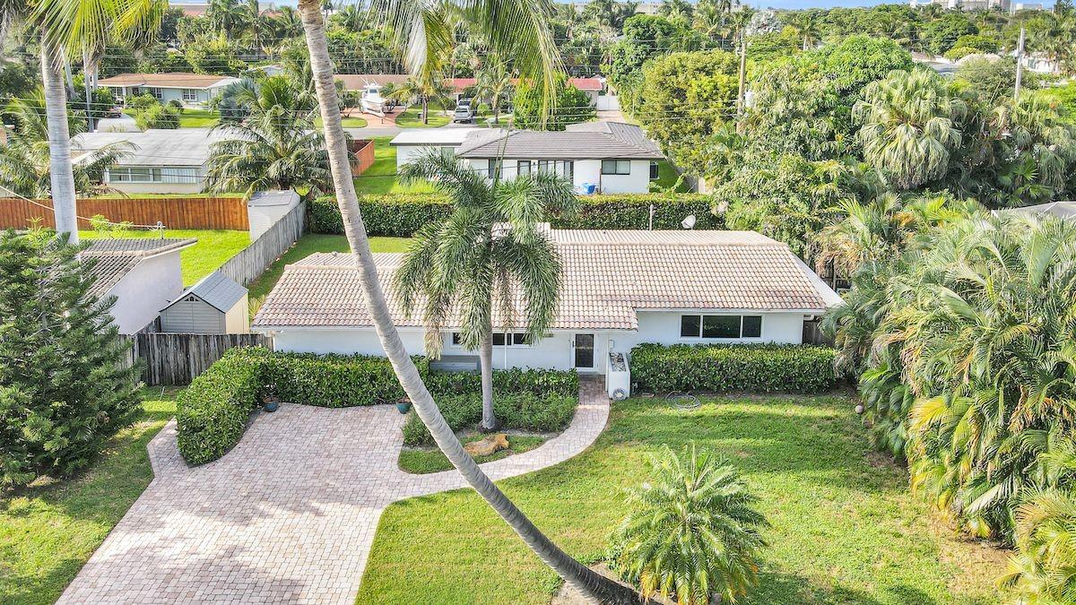 Established palm trees and hedges