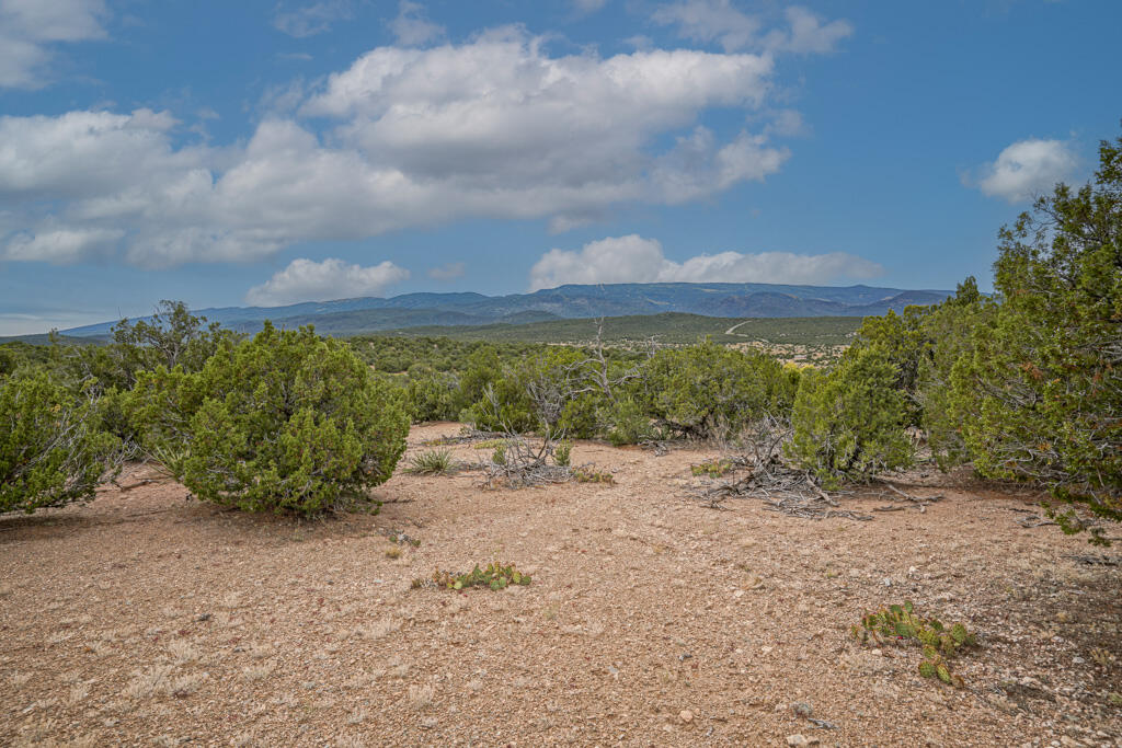 Homes for sale in Sandia Park, NM | 20 Via Entrada, Sandia Park, NM 87047 | MLS# 1042129