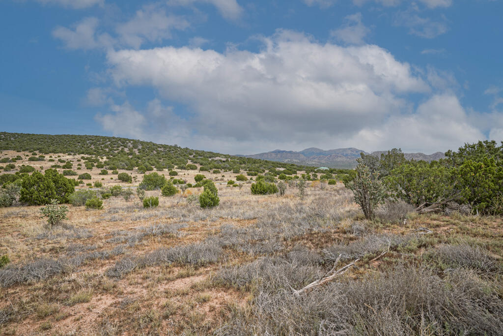 Homes for sale in Sandia Park, NM | 20 Via Entrada, Sandia Park, NM 87047 | MLS# 1042129