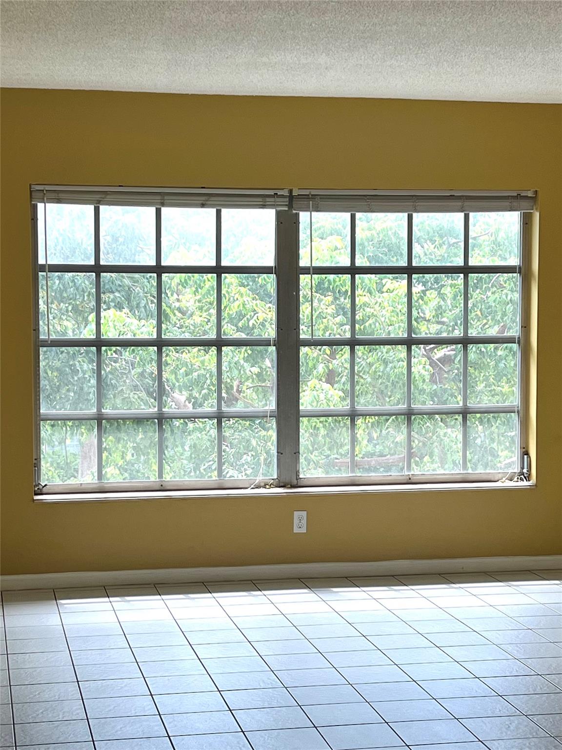 LIVING ROOM DOUBLE 
WINDOW