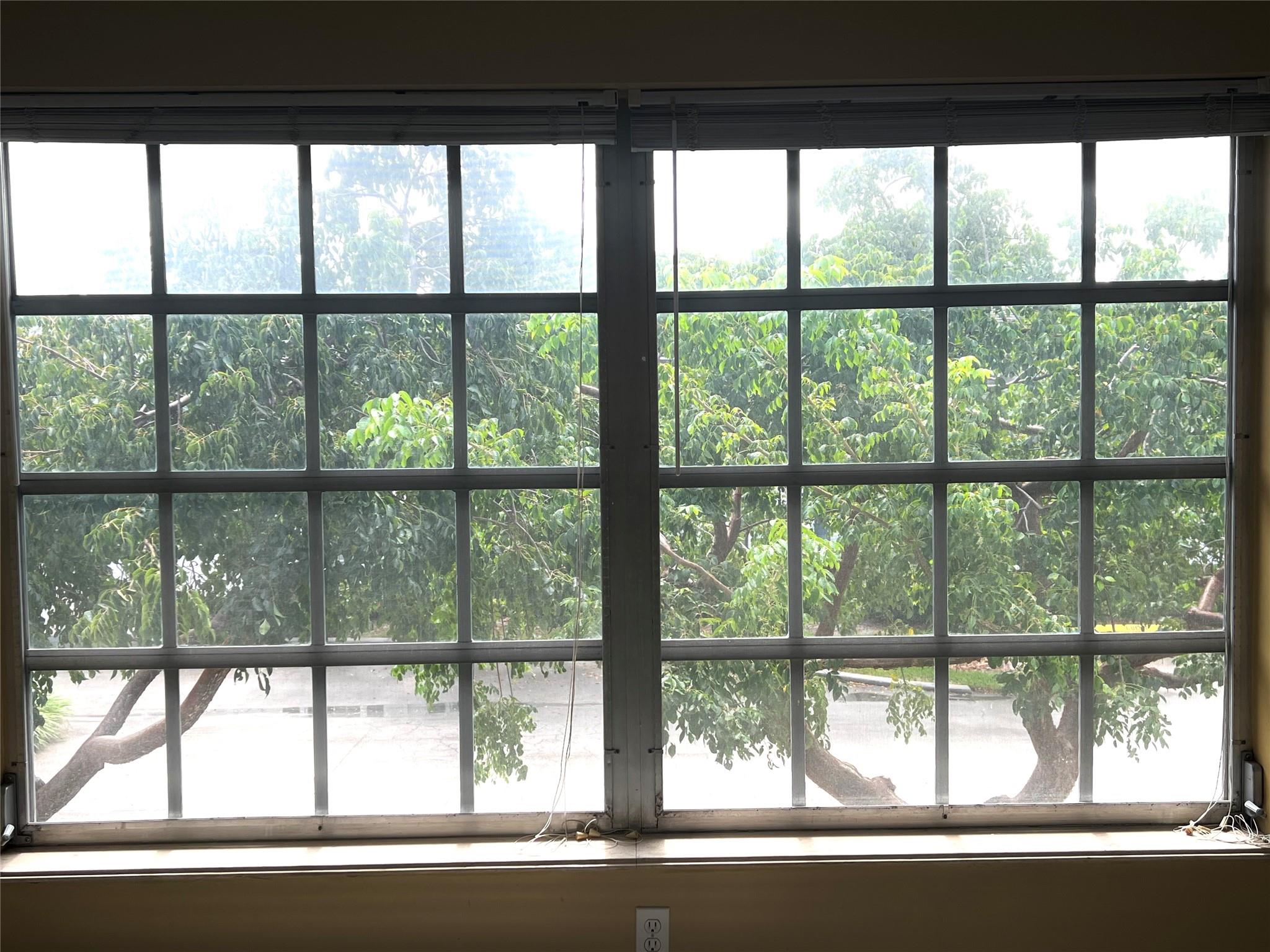 LIVING ROOM DOUBLE 
WINDOW