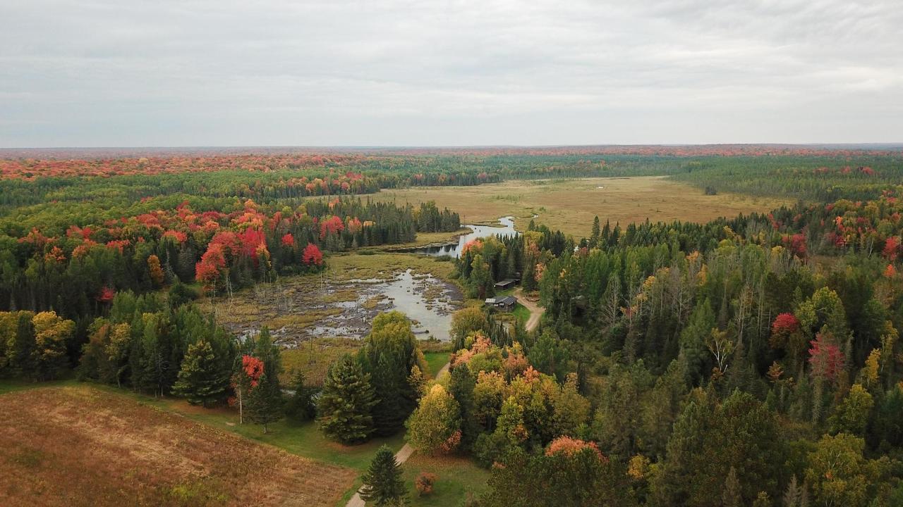 Undocumented Lake Property 9115 Cardinal Ln Photo 24