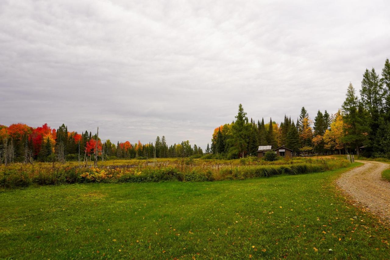 Undocumented Lake Property 9115 Cardinal Ln Photo 34