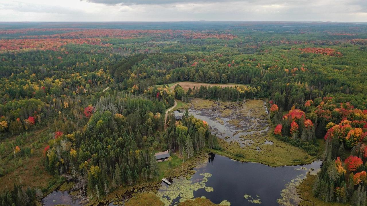 Undocumented Lake Property 9115 Cardinal Ln Photo 6