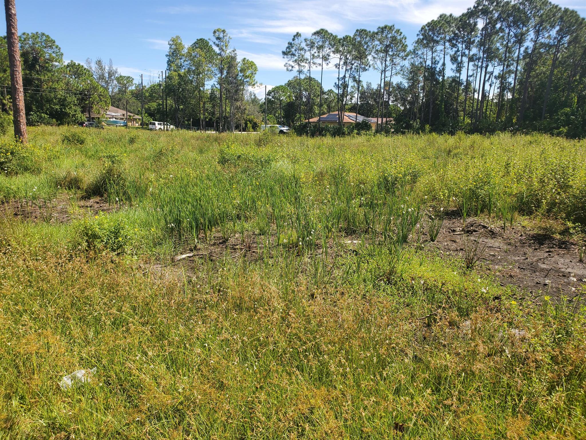 Homes for sale in The Acreage, FL | Xx 87th Street N, The Acreage, FL 33412 | MLS# R10932086