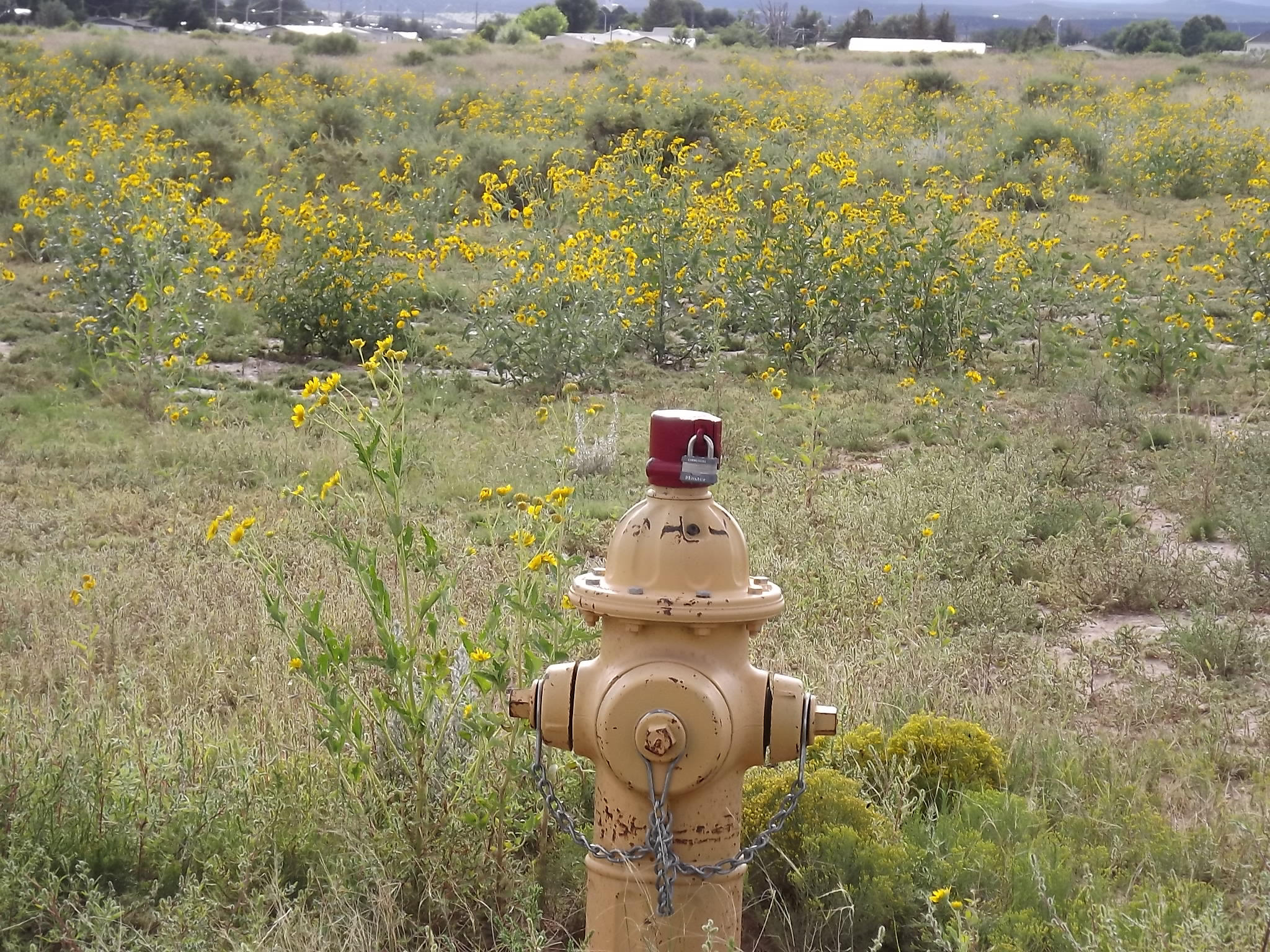 Photo 18 —  U.S. Rt. 66 E (Tr 2-A-2-A)