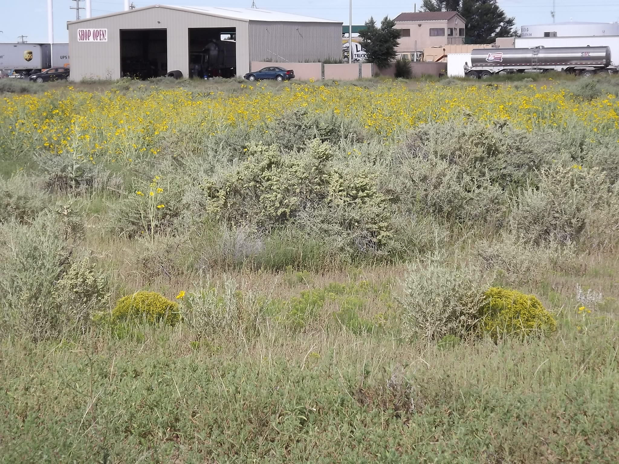 Photo 17 —  U.S. Rt. 66 E (Tr 2-A-2-B)