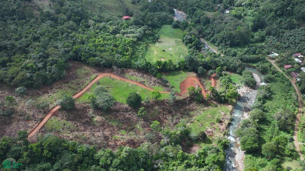 0 bed Land For Sale in Perez Zeledon, San Jose - 1