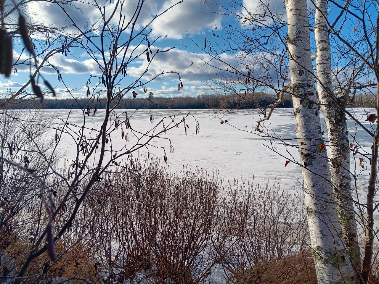 Amber Lake Property ON White Elk Ln Photo 1