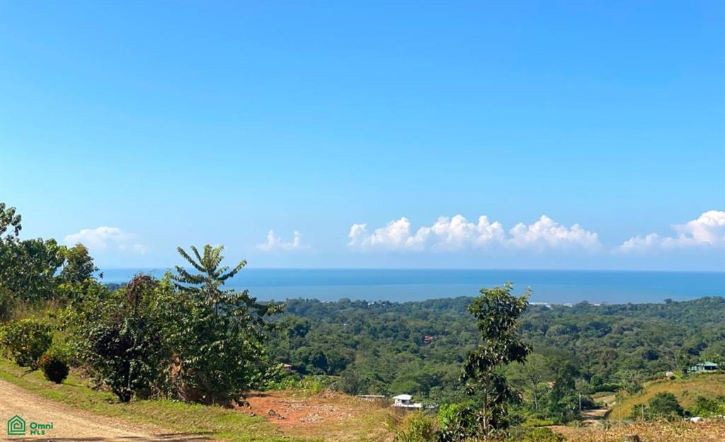 0 bed Land For Sale in Osa, Puntarenas - 1