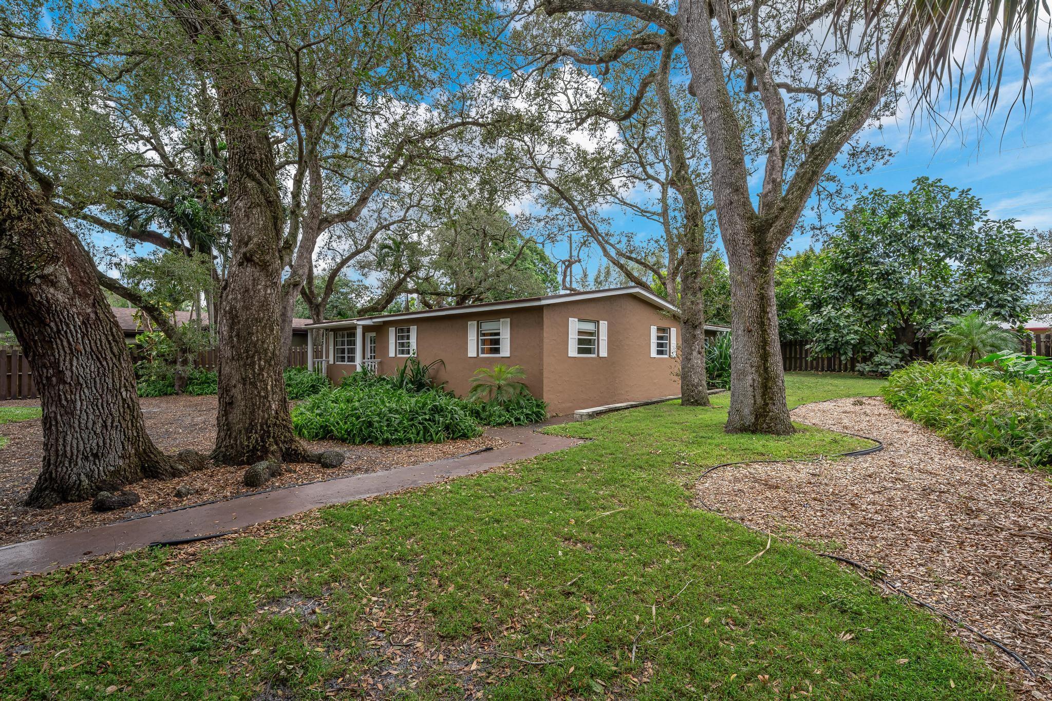 Beautiful Mature Trees So Serene!