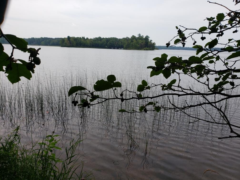 Shishebogama Lake Property 12791 Duner Point Ln Photo 1