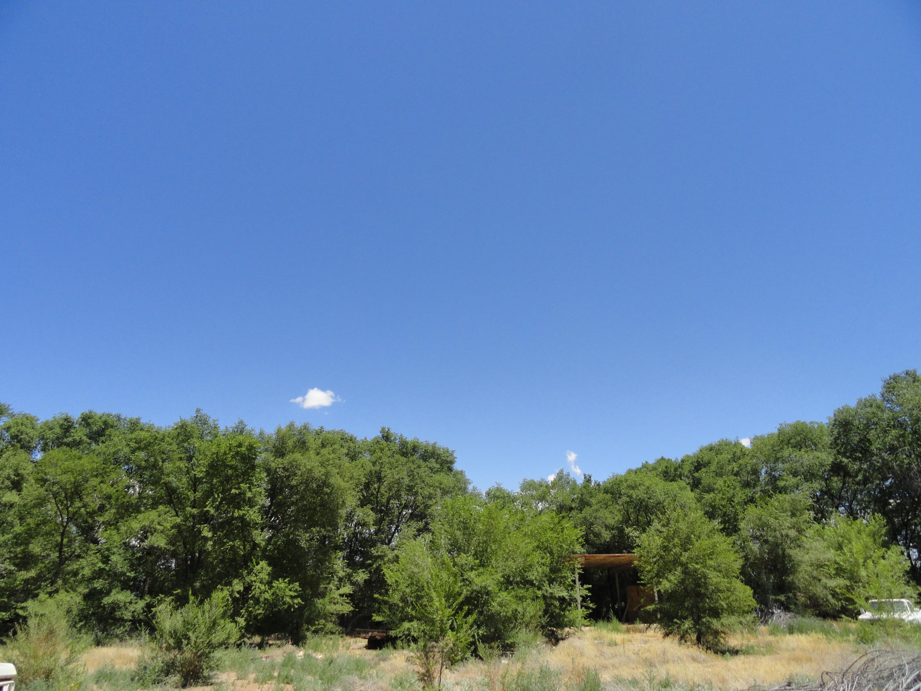 Homes for sale in Peralta, NM | Molina Tract 6 Rd, Peralta, NM 87042 | MLS# 1055825