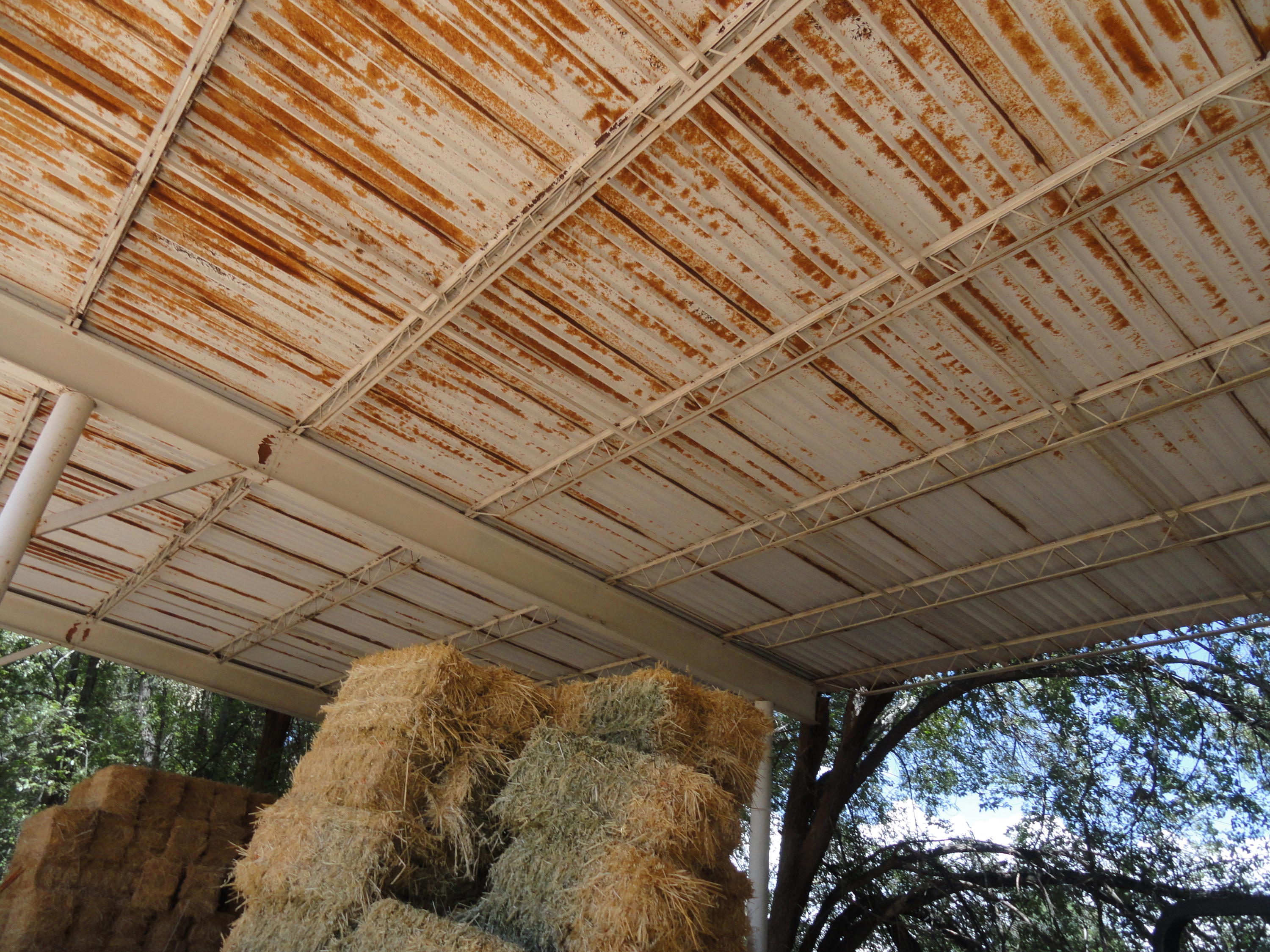 Homes for sale in Peralta, NM | Molina Tract 6 Rd, Peralta, NM 87042 | MLS# 1055825