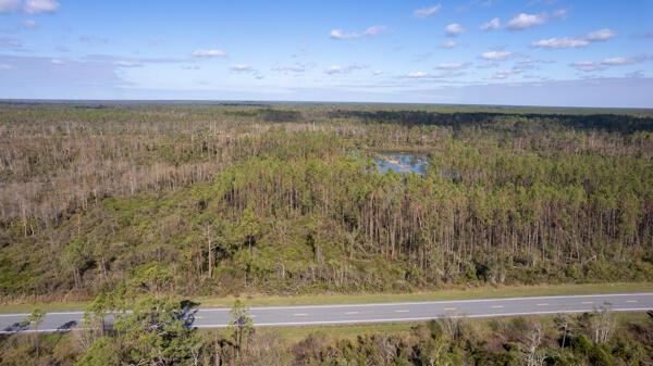 Homes for sale in Perry, FL | 0 US 27, Perry, FL 32348 | MLS# R10954485