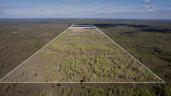 Homes for sale in Perry, FL | 0 US 27, Perry, FL 32348 | MLS# R10954485