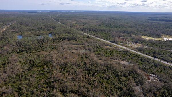 Homes for sale in Perry, FL | 0 Us 27, Perry, FL 32348 | MLS# R10954485