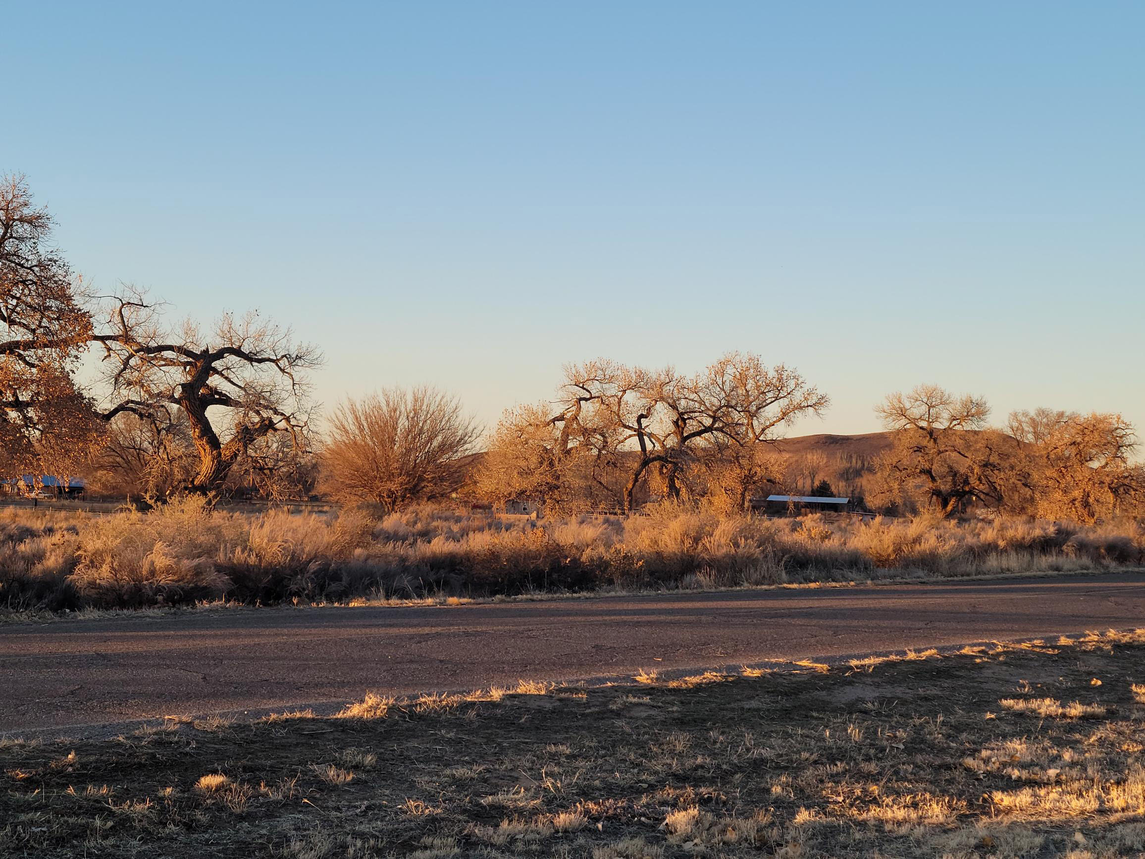 Homes for sale in Los Lunas, NM | La Entrada Rd, Los Lunas, NM 87031 | MLS# 1056411